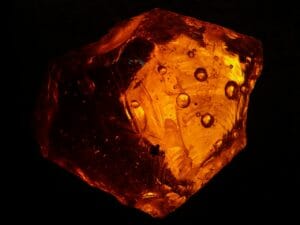 Amber example that may be at the Tucson Gem and Mineral Show.